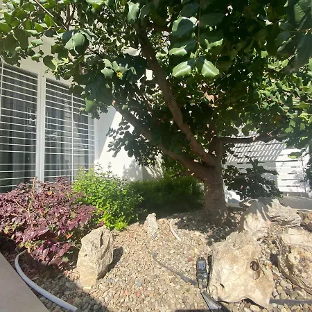 Home3 Bed 公寓 *